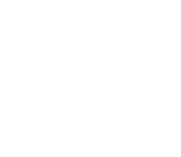 Star Icon